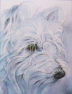 Click to see paintings of westies